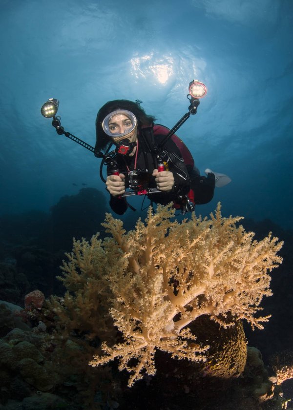 Quelle lampe choisir pour une plongée sous-marine dans le Var ?